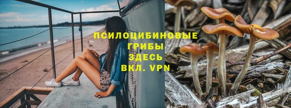 гидра Бугульма