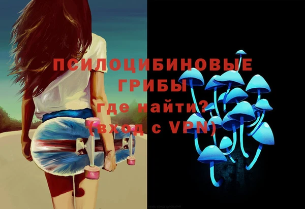 гидра Бугульма